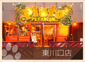 ペットサロンプルート東川口店
