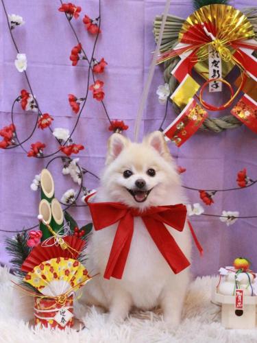 20230120ビビちゃん