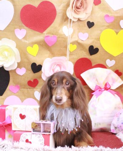 20230203チョロ松くん