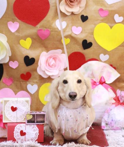 20230203シオンくん