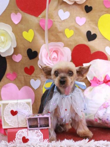 20230215小太郎くん