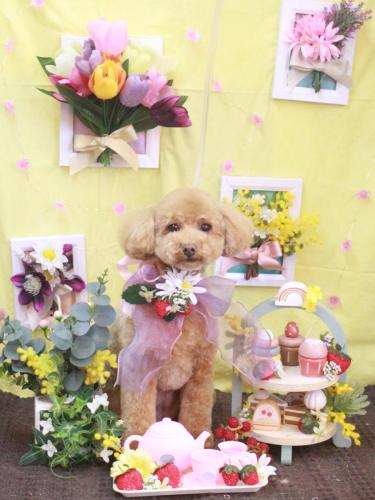 20230307めるちゃん