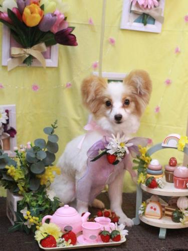 20230310まるくん