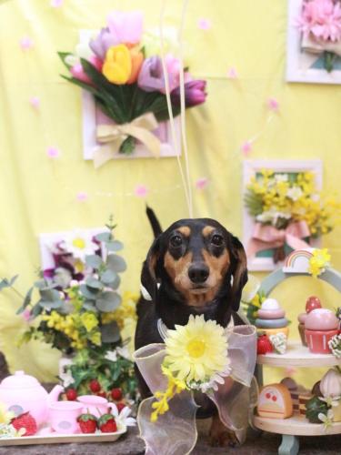 20230315モカちゃん