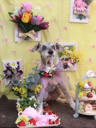 20230316ちゅらんちゃん