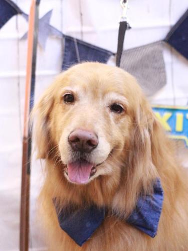 20230401五助くん