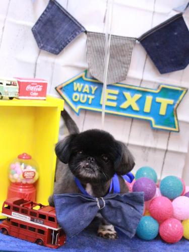 20230408つきみちゃん