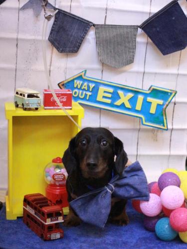 20230409らんちゃん