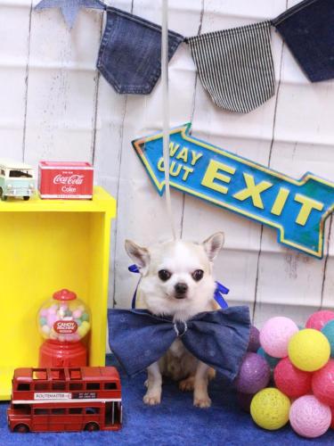 20230412マロンくん