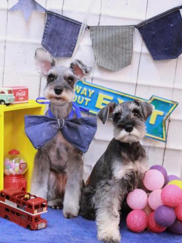 20230426ちぇるむぎ