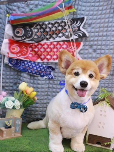 20230505ナナちゃん