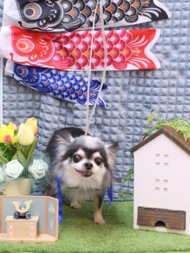 20230521クオンくん