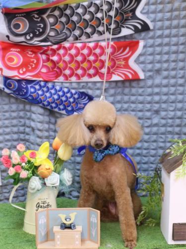 20230526リールちゃん