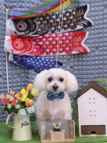 20230527ヒメちゃん