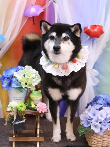 20230601ひめちゃん