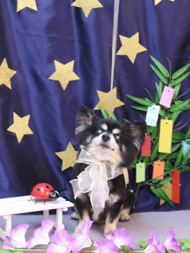 20230702ココアくん