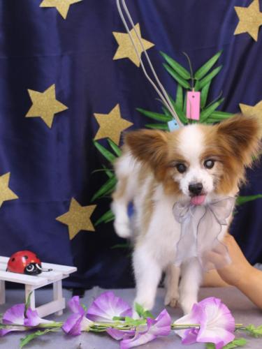 20230711ラックくん