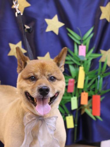 20230714やまとくん