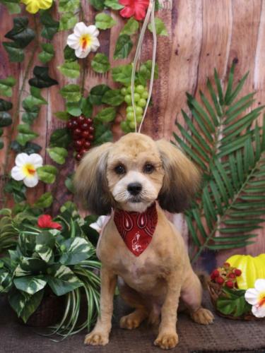 20230803イザくん