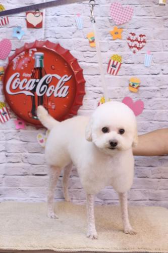 20230909めっちゃん