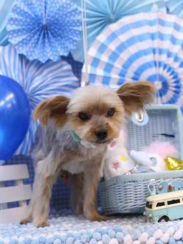 20231118マックスくん