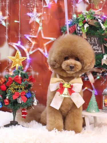 20231217こじろうくん