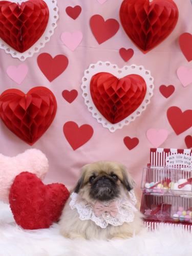 20240201うにちゃん