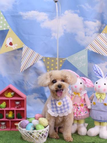 20240319クッキーくん