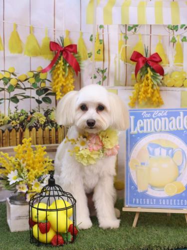 20240406風太郎くん