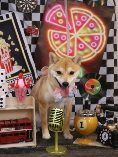 20260410春ちゃん