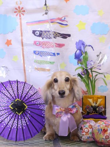 20240514そらくん