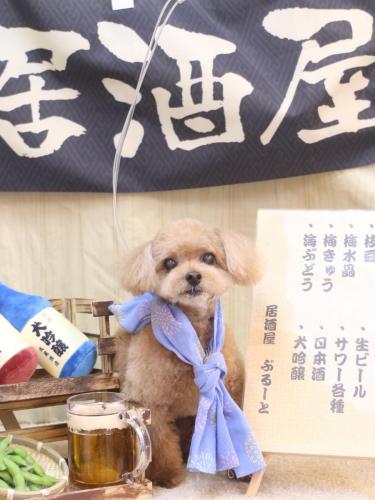 20240625マロンくん