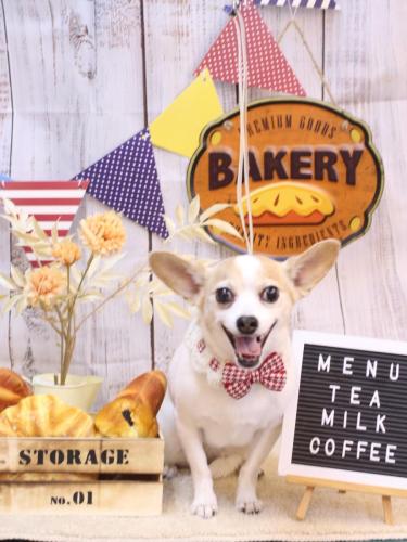 20240921うにちゃん