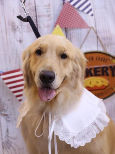 20240924ありすちゃん