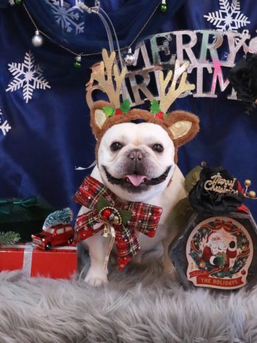 20251228だいずくん