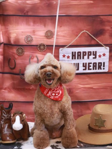 20260108くぅくん