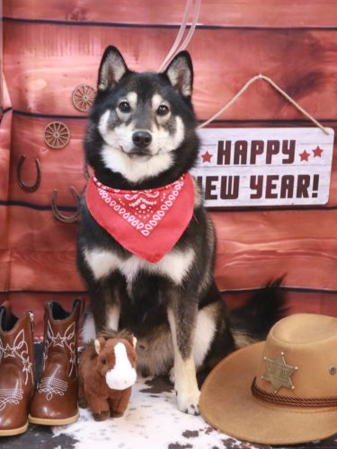 20260108りきくん