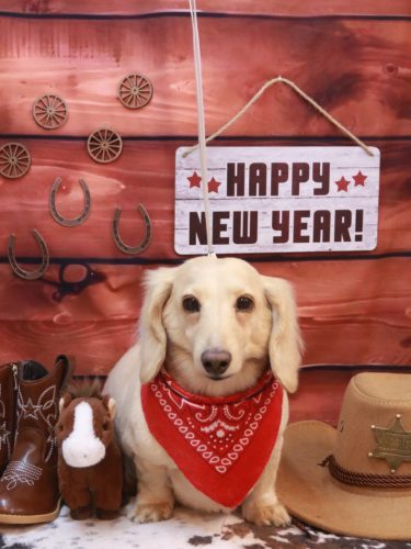 20260108シオンくん