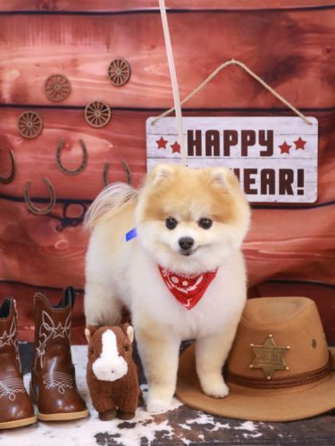 20250110モコくん