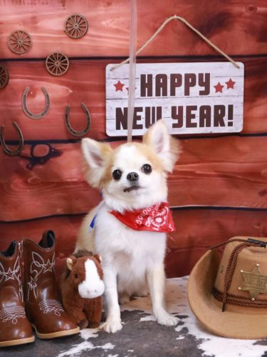 20250115くうくん