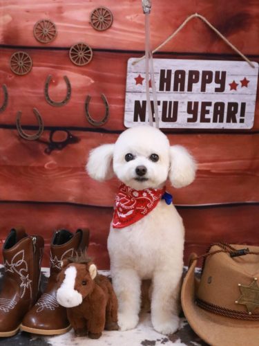 20250124ポコちゃん