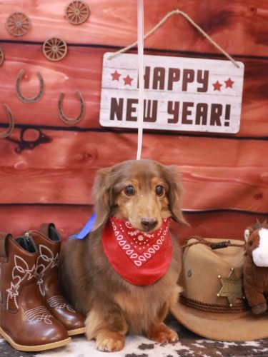 20250125モカくん