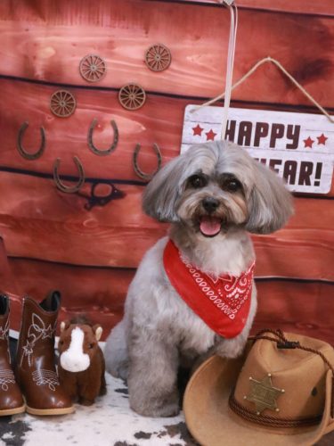 20260127蘭太郎くん