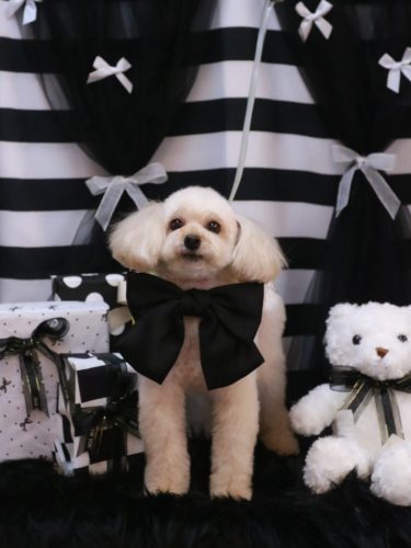 20250204リコちゃん