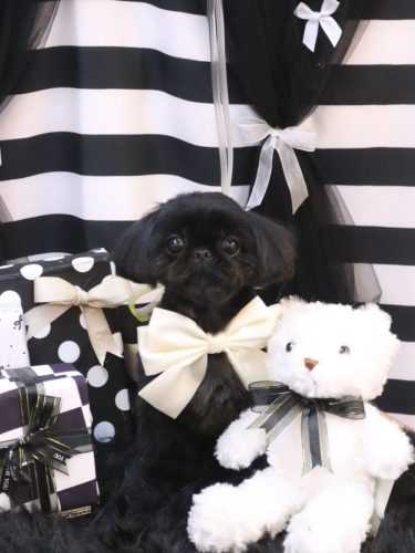 20250225つむぎちゃん