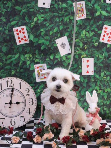 20250423うららちゃん