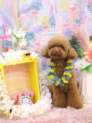 20250502くるるくん