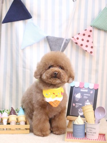 20250514てんくん