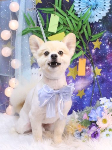 20250703ぽんずくん