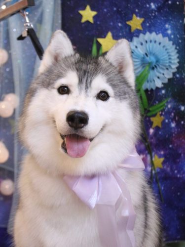 20250716ひかりちゃん